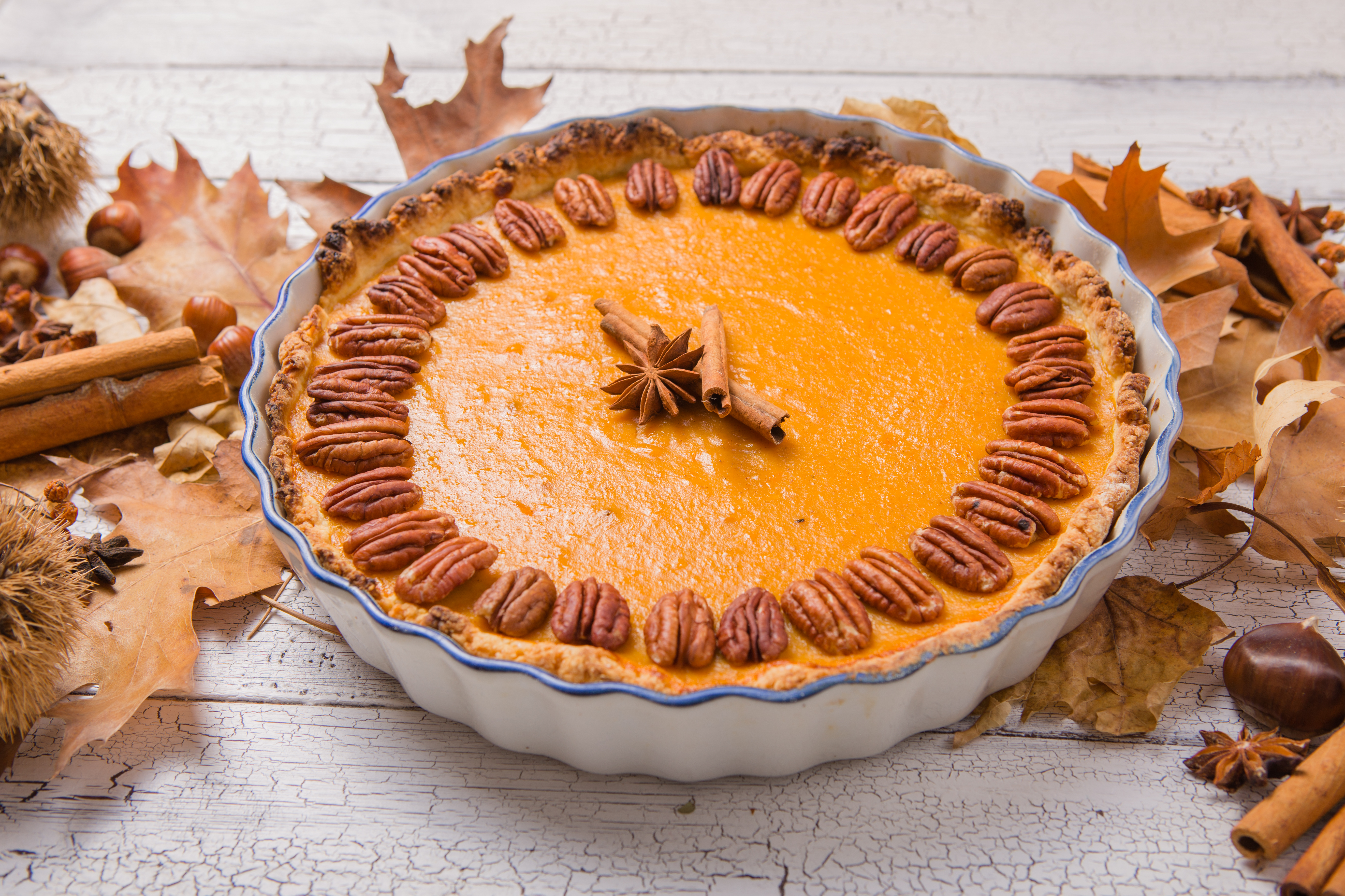 Pumpkin Pie with a Spiced Pecan Crust