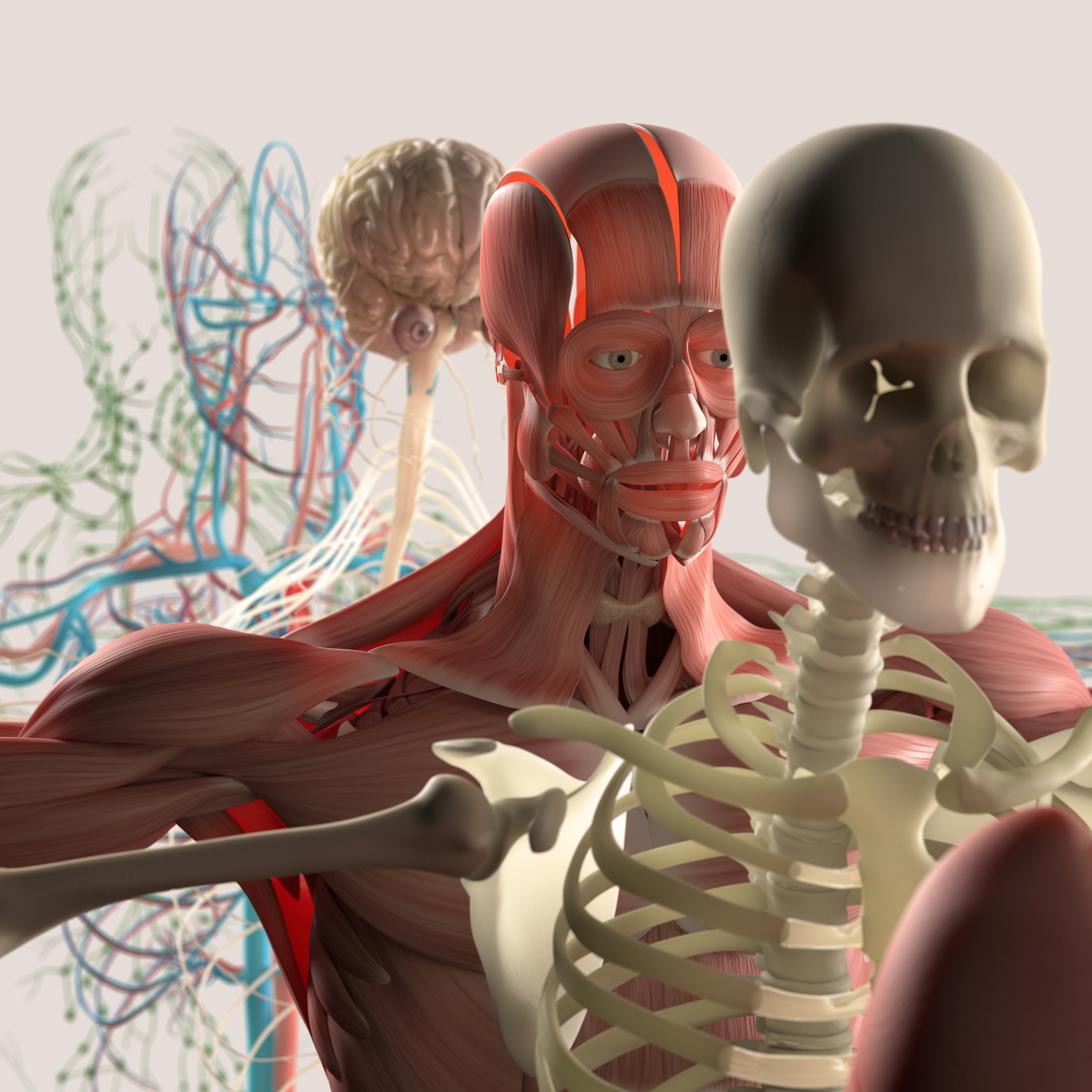 Course Image 2