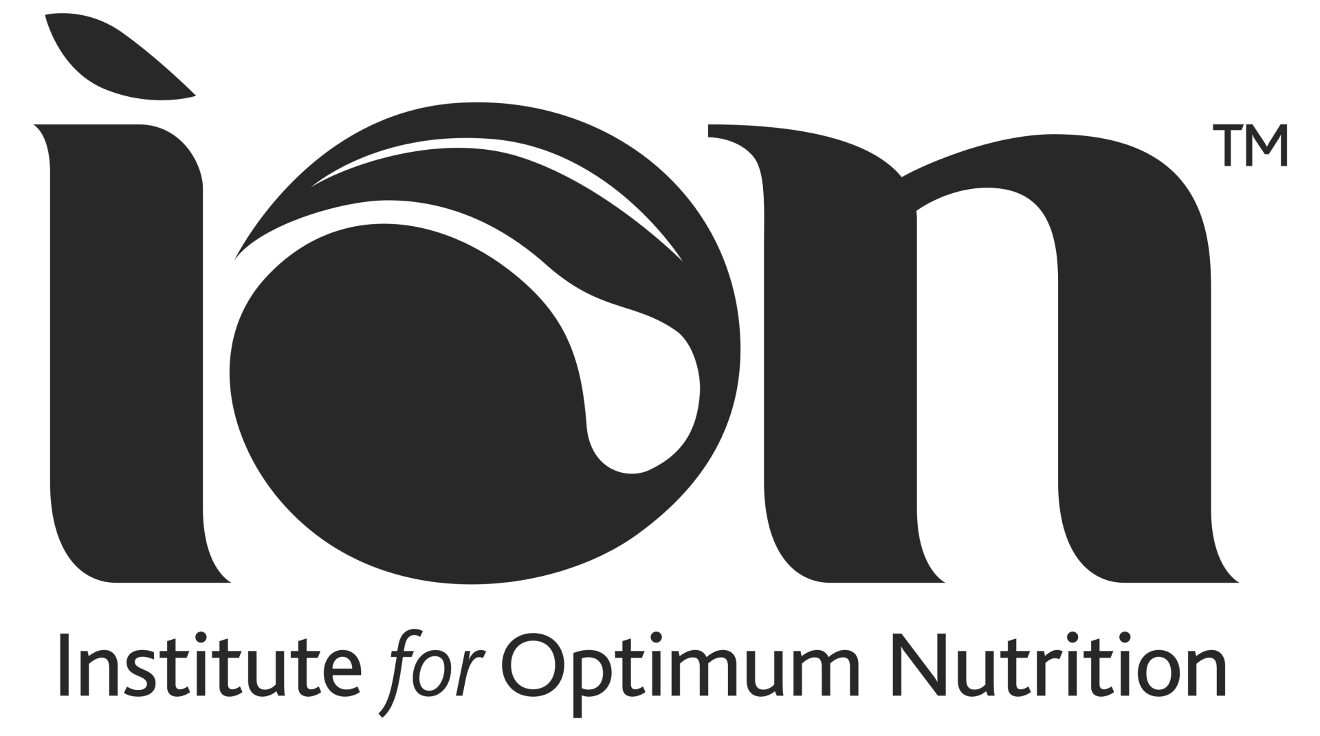 ION Logo