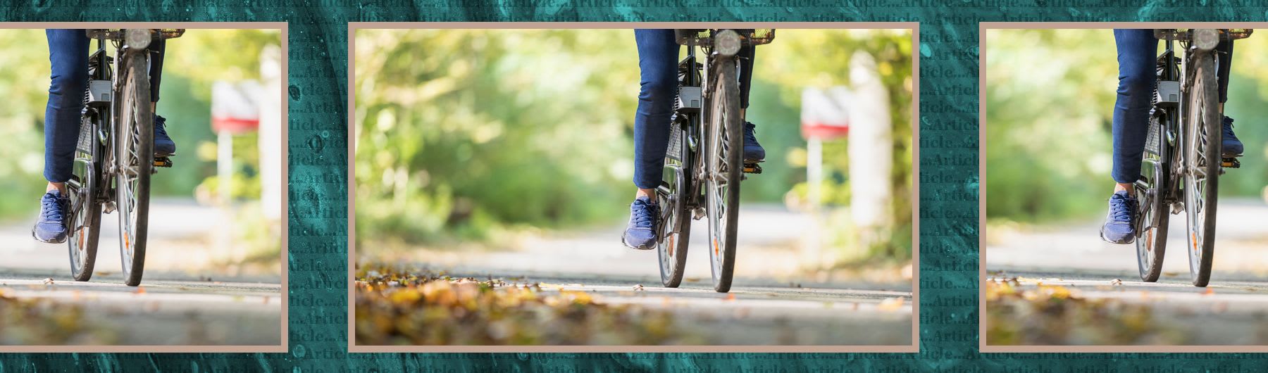 A beginner&#8217;s guide to cycling