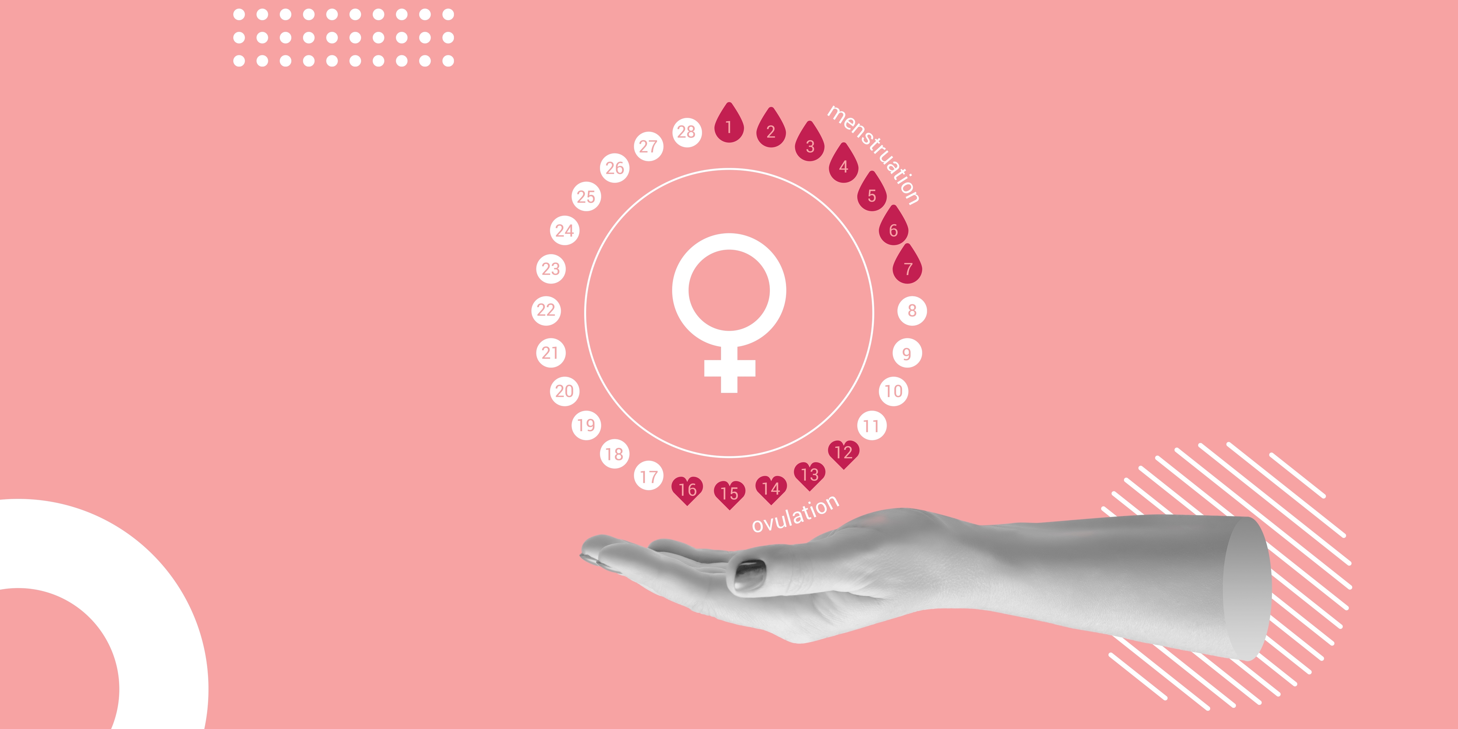 The menstrual cycle: A seasonal guide
