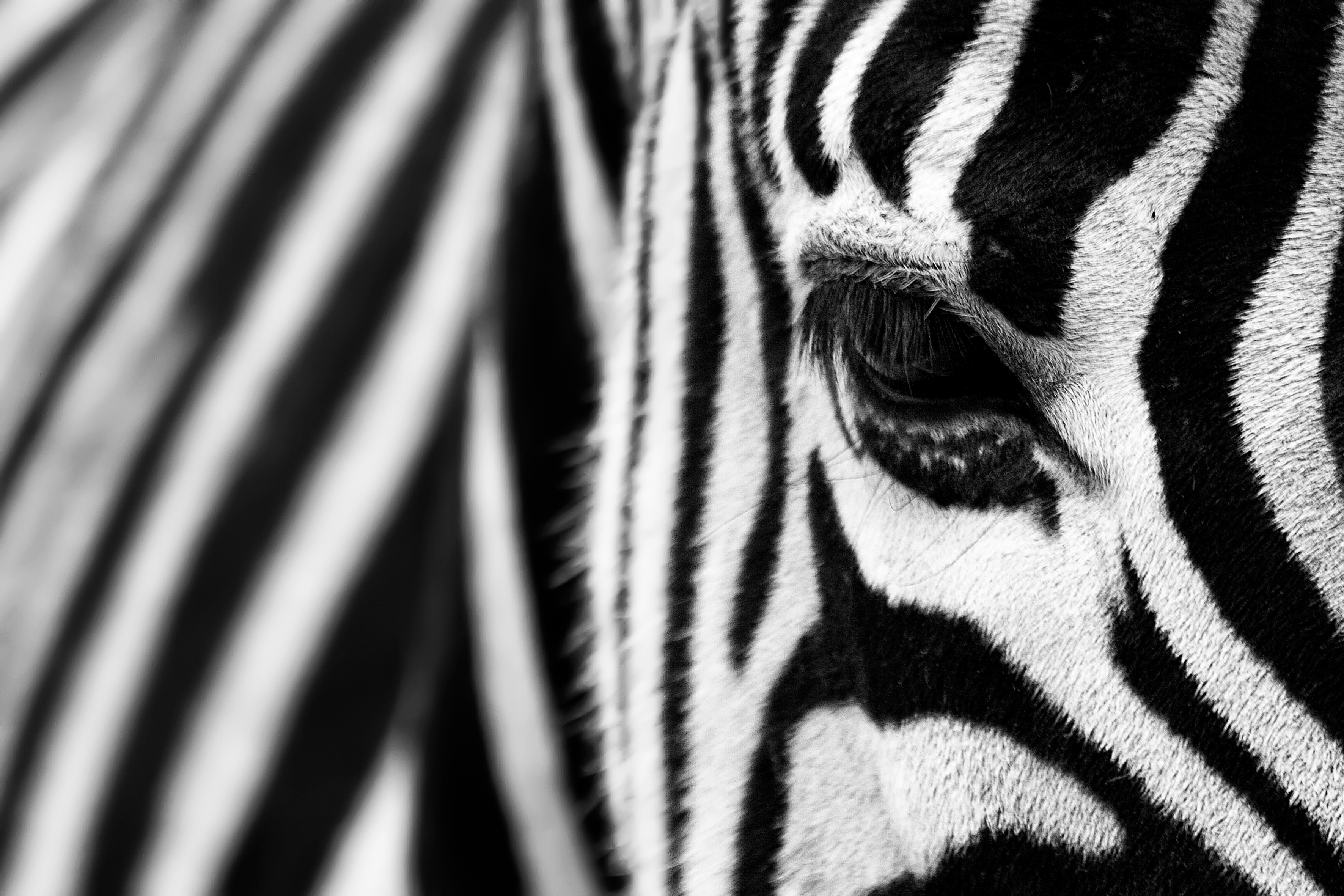 Ehlers-Danlos Syndromes: what part does nutrition play?